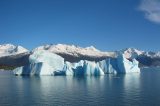 Blue glacial iceberg floating along the coast